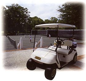 Golf cart for recreation